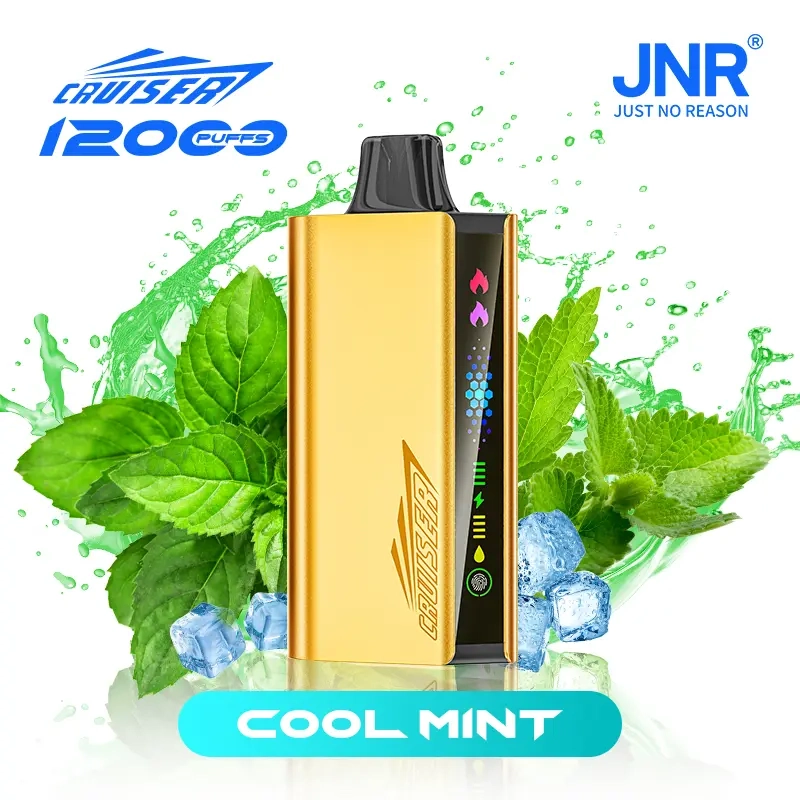 JNR Cruiser 12000 Puffs –Cool Mint