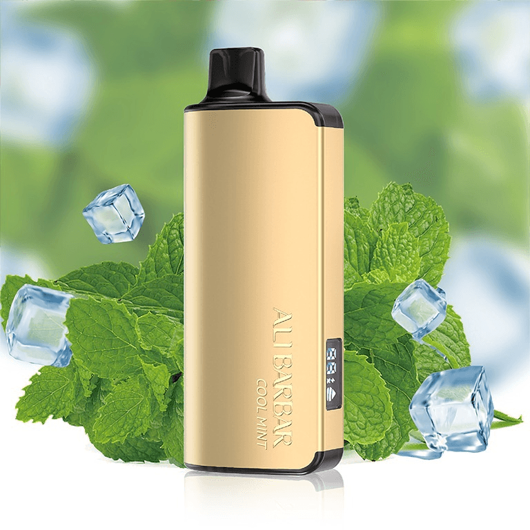 ALIBARBAR INGOT Cool Mint 9000 Puffs 10 pack on sale(Ship from oversea)