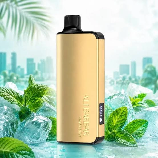 alibarbar flavours 9000 Miami Mint rechargeable disposable vape